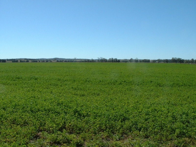 Mundubbera QLD 4626