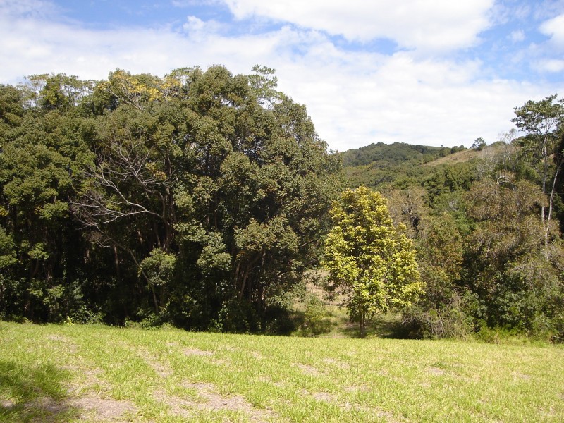 Kin Kin QLD 4571