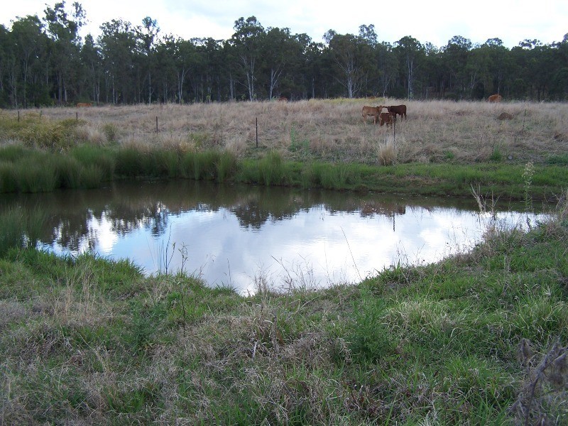 Glastonbury QLD 4570