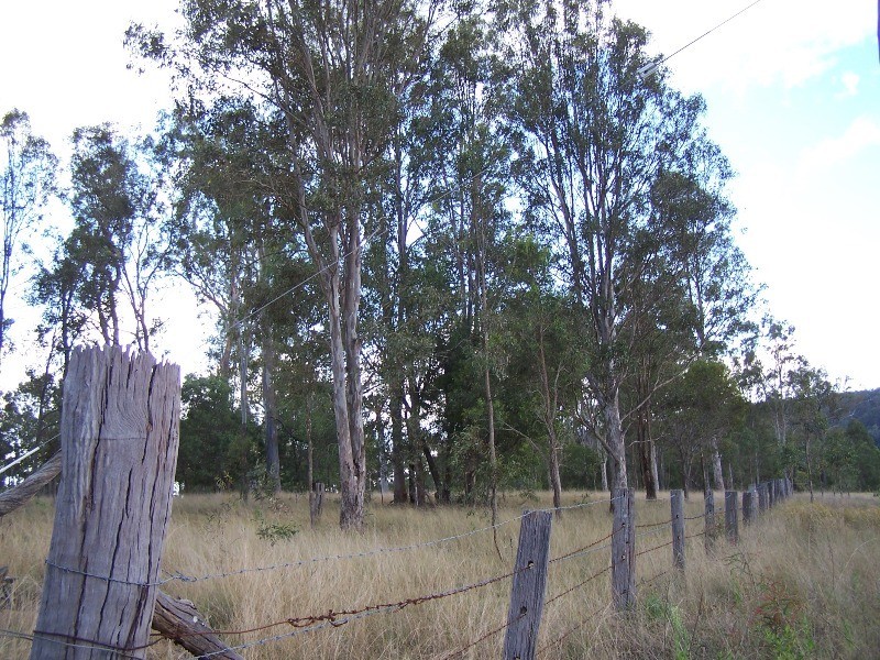 Glastonbury QLD 4570