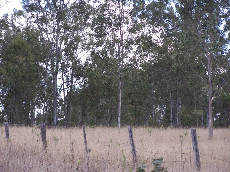 Glastonbury QLD 4570