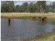 Lower Wonga QLD 4570