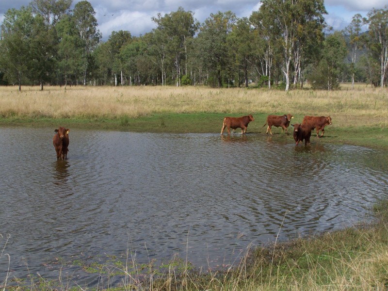 Lower Wonga QLD 4570