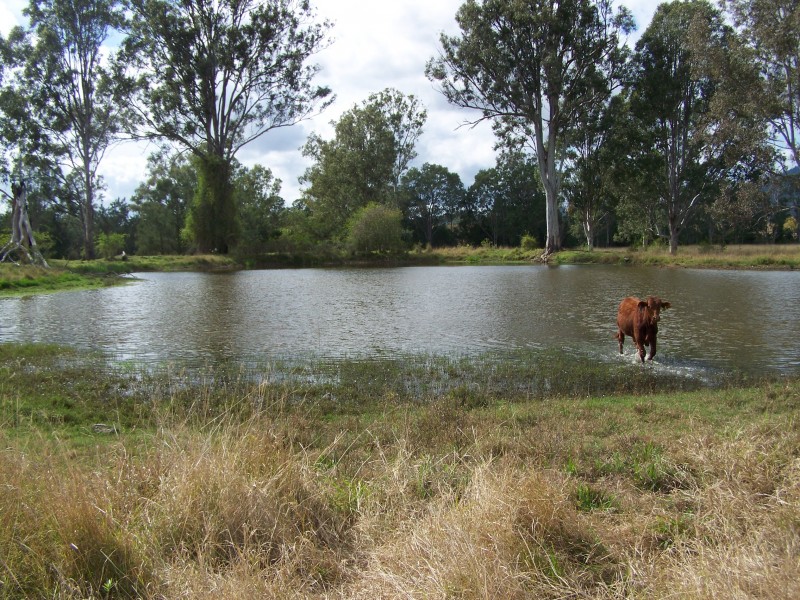 Lower Wonga QLD 4570