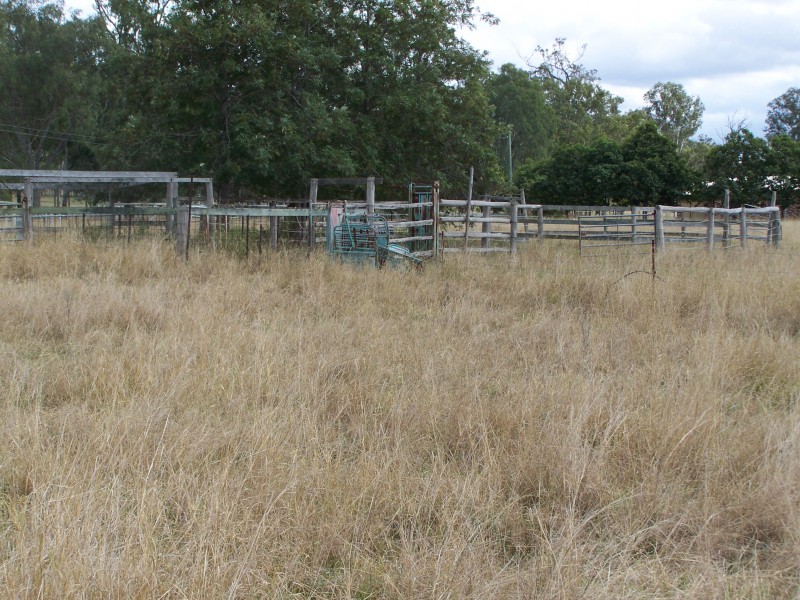 Lower Wonga QLD 4570