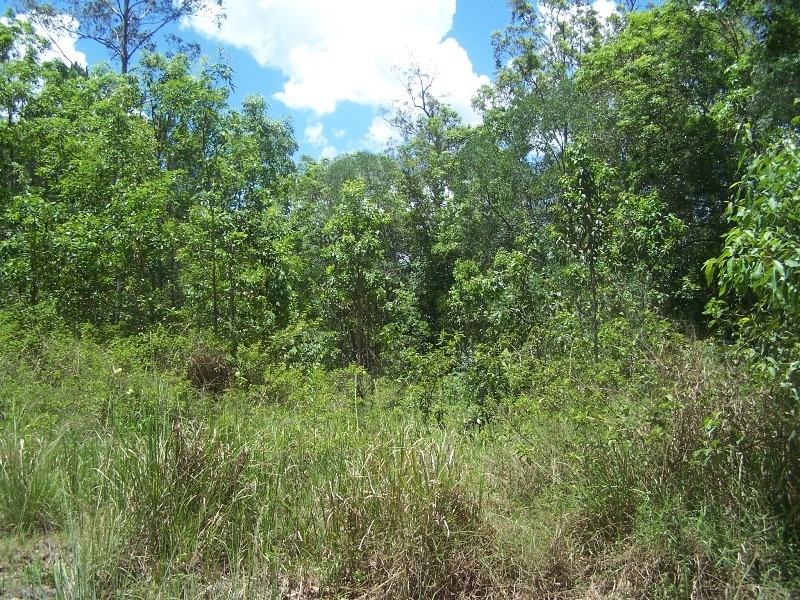 Glenwood QLD 4570