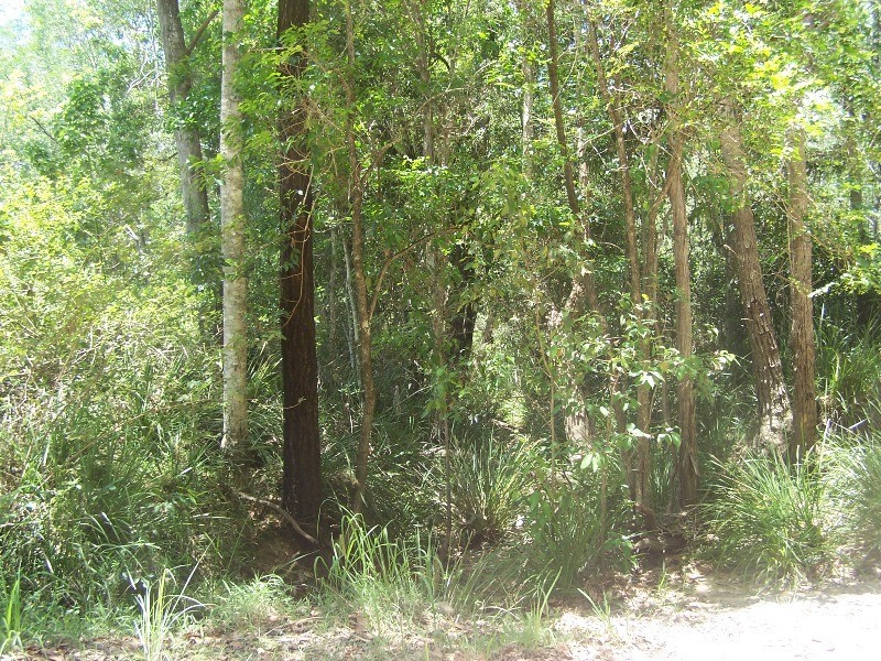 Glenwood QLD 4570