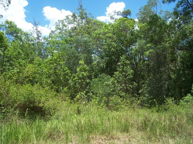 Glenwood QLD 4570