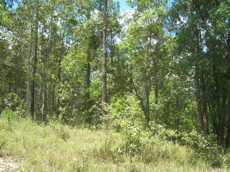 Glenwood QLD 4570