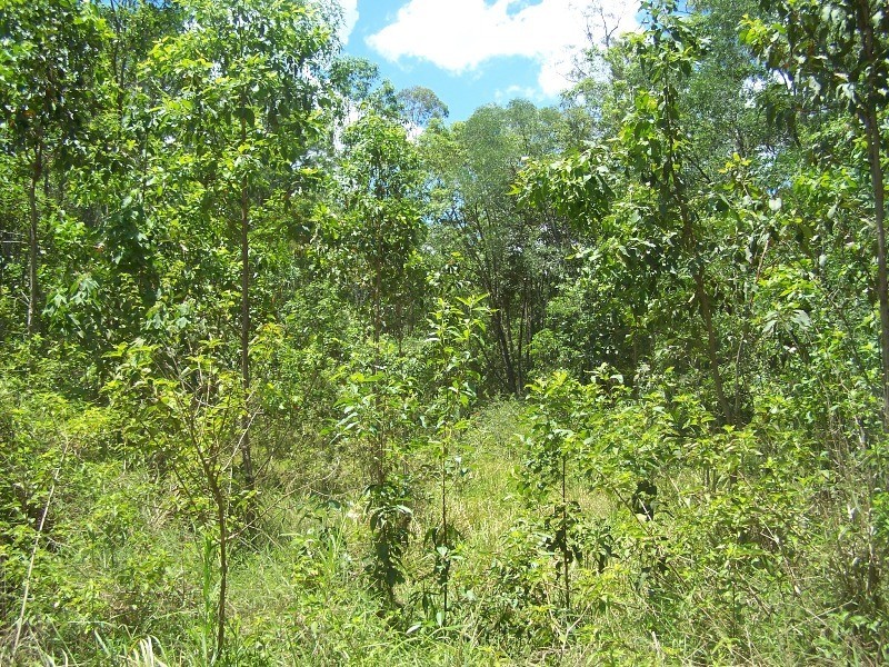 Glenwood QLD 4570