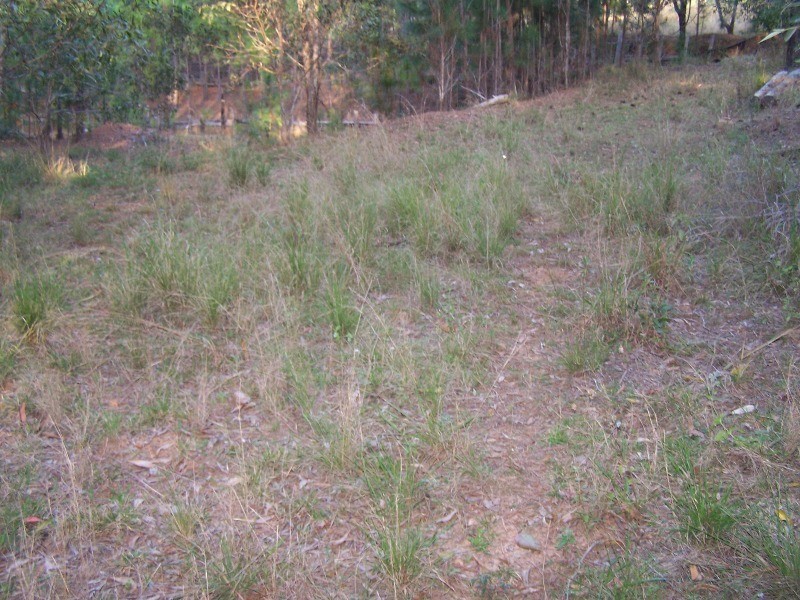 Glenwood QLD 4570