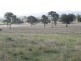 Widgee QLD 4570