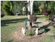 Neerdie QLD 4570