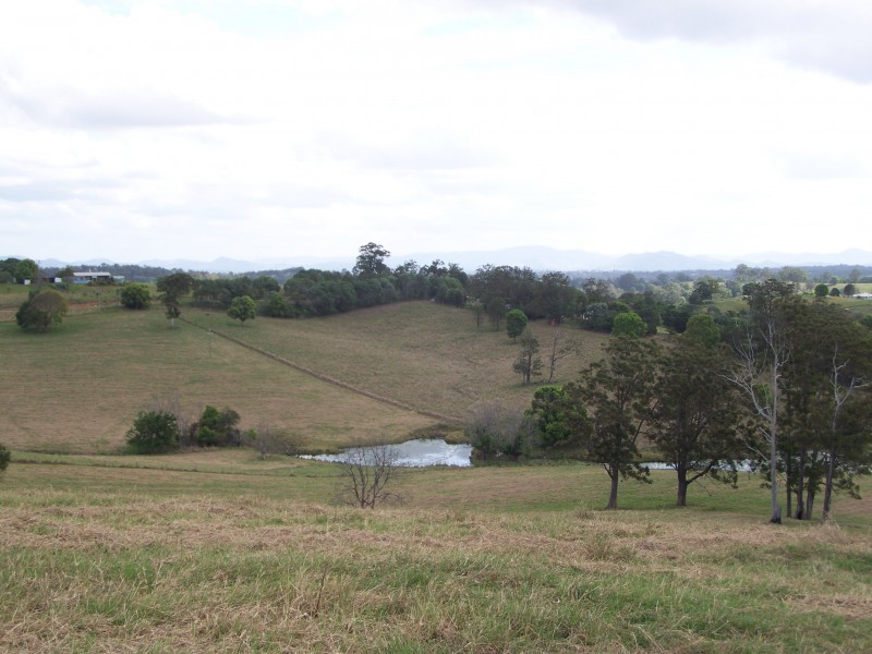 Canina QLD 4570
