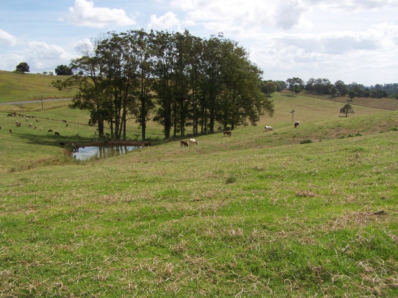 Canina QLD 4570