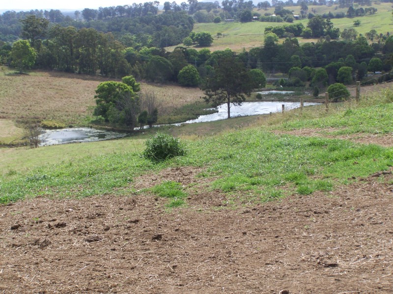 Canina QLD 4570