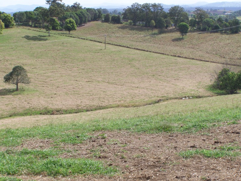 Canina QLD 4570