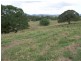 Canina QLD 4570