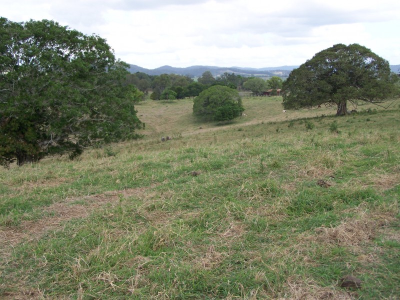 Canina QLD 4570