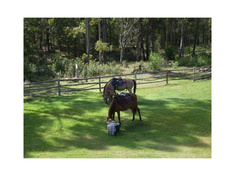 Wolvi QLD 4570