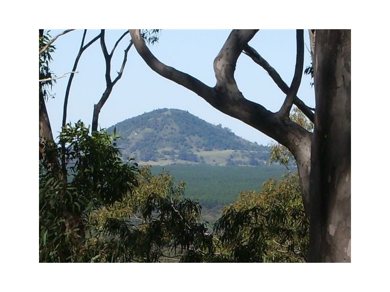 Wolvi QLD 4570