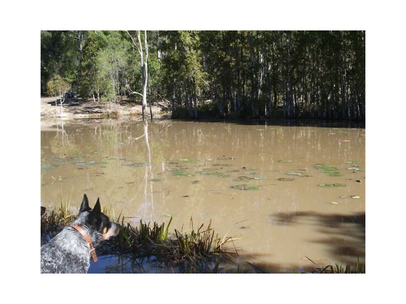 Wolvi QLD 4570