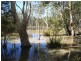 Wolvi QLD 4570
