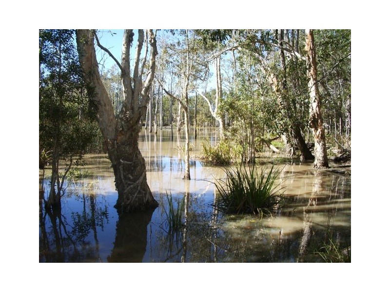 Wolvi QLD 4570