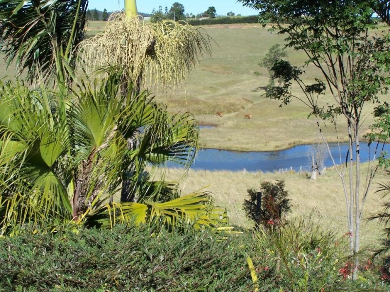 Canina QLD 4570