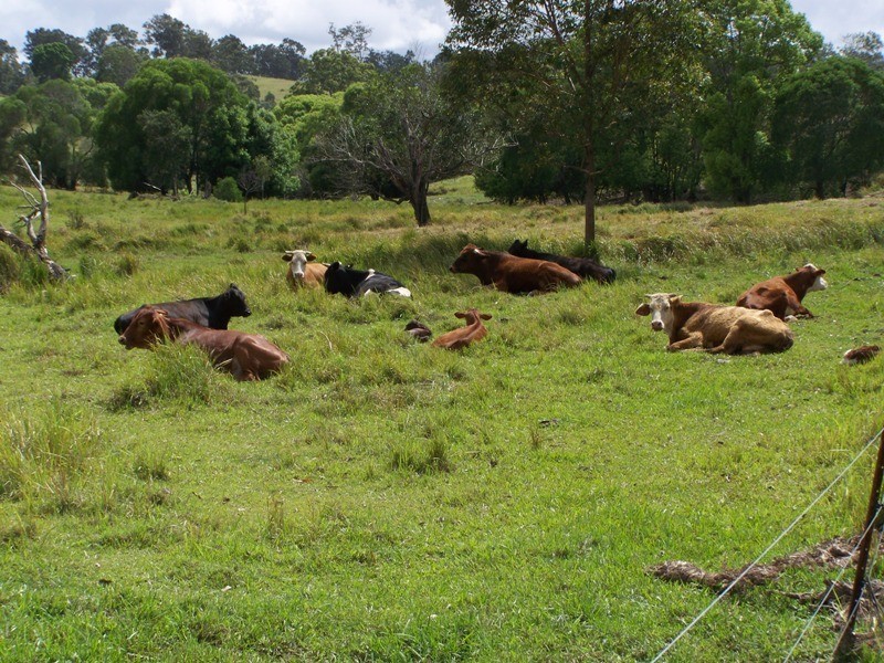 Veteran QLD 4570