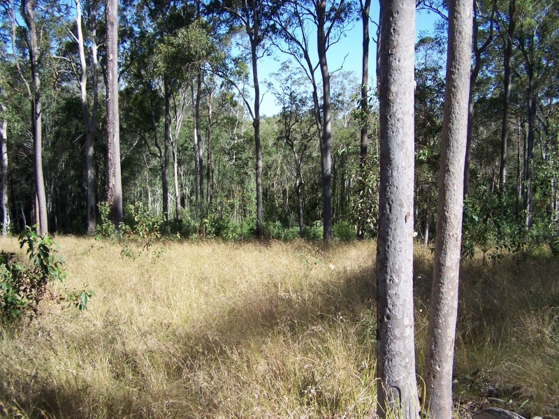 Mothar Mountain QLD 4570
