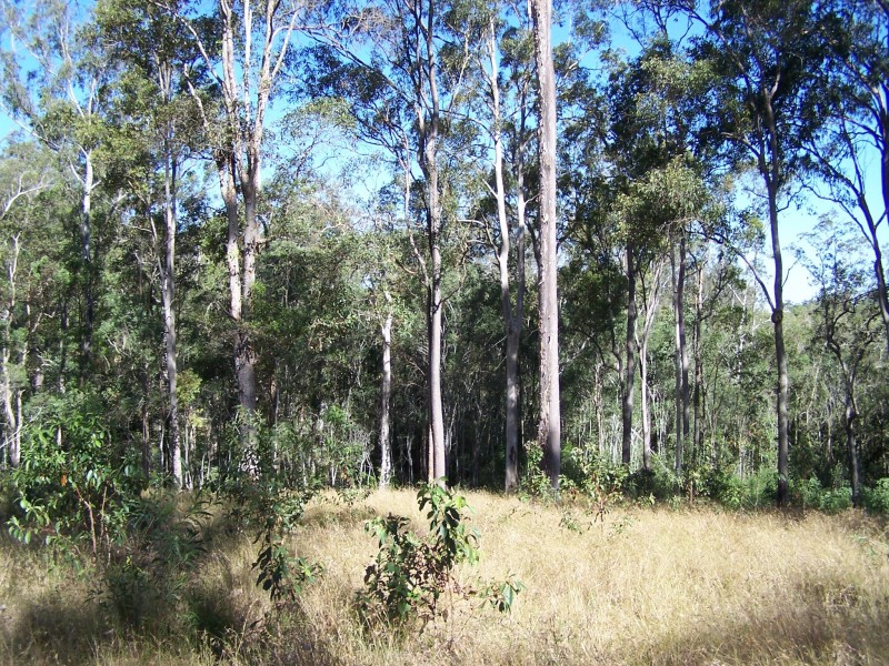 Mothar Mountain QLD 4570