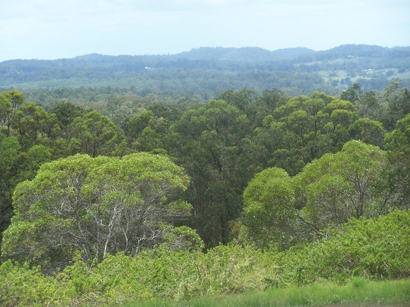 Tamaree QLD 4570