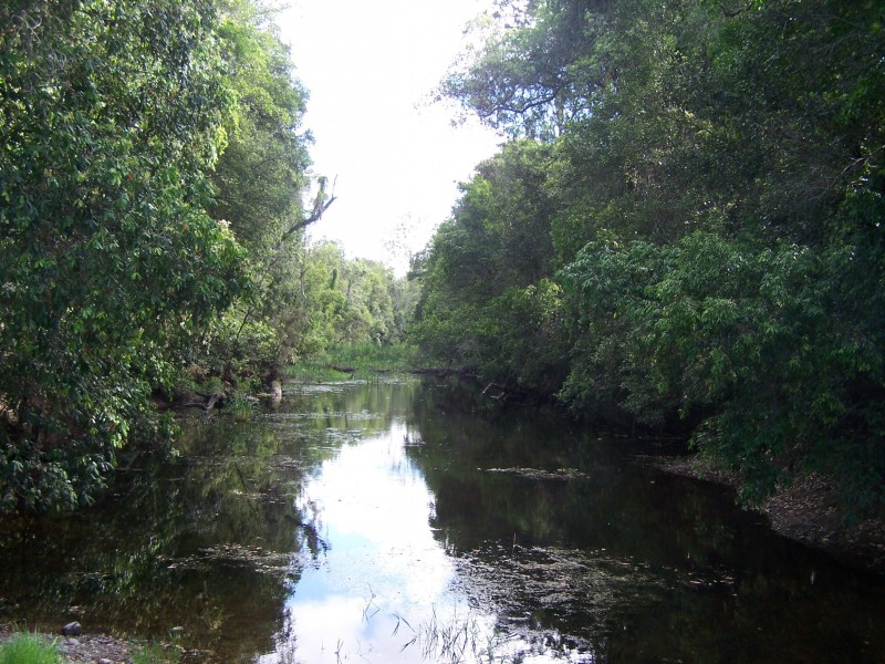 Lower Wonga QLD 4570