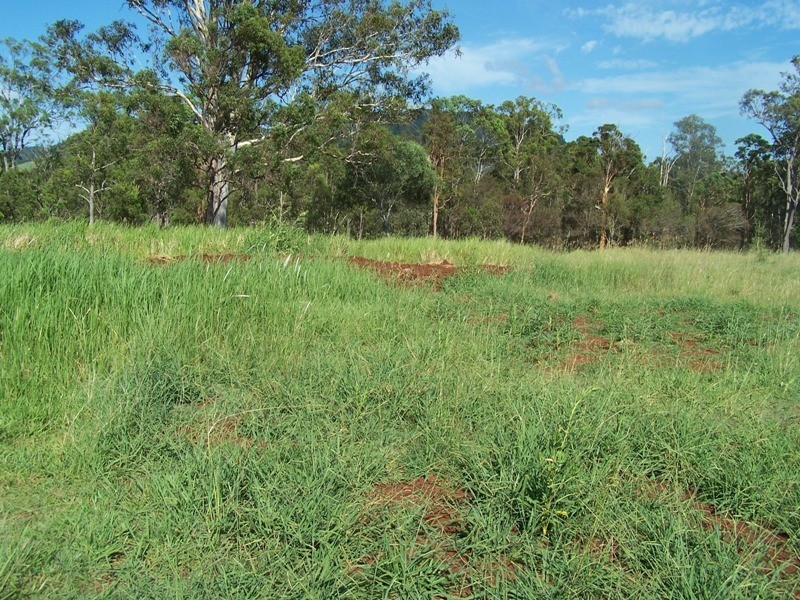Pie Creek QLD 4570