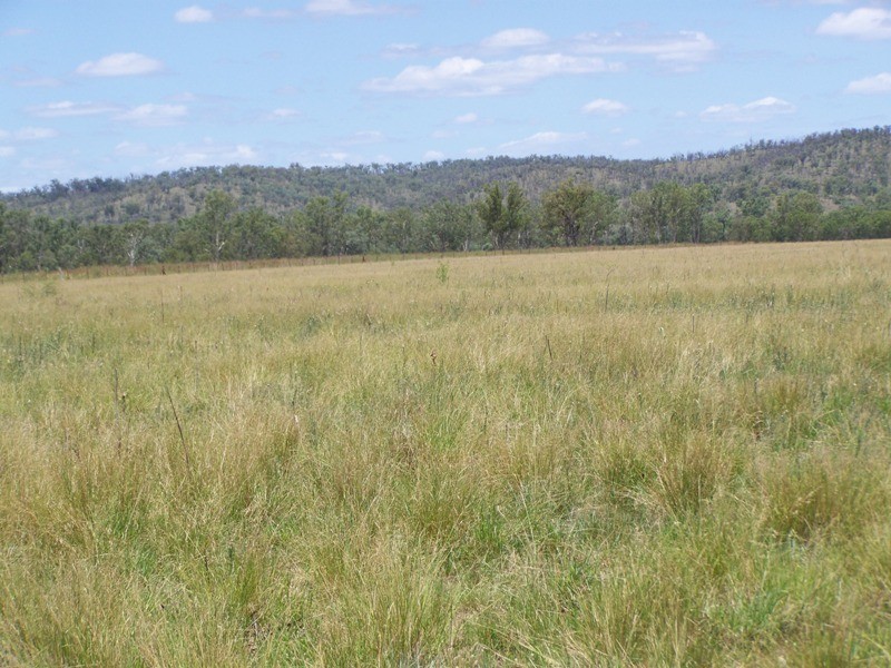 Malmoe QLD 4627
