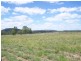 Malmoe QLD 4627