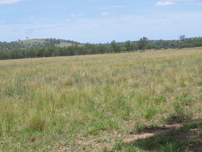 Malmoe QLD 4627
