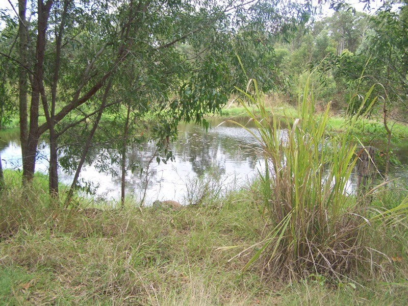 Curra QLD 4570