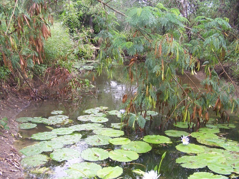 Glenwood QLD 4570