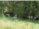 Woolooga QLD 4570