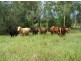 Woolooga QLD 4570