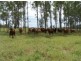 Woolooga QLD 4570