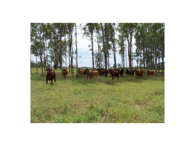 Woolooga QLD 4570