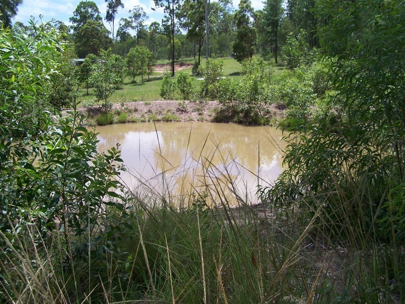Glenwood QLD 4570