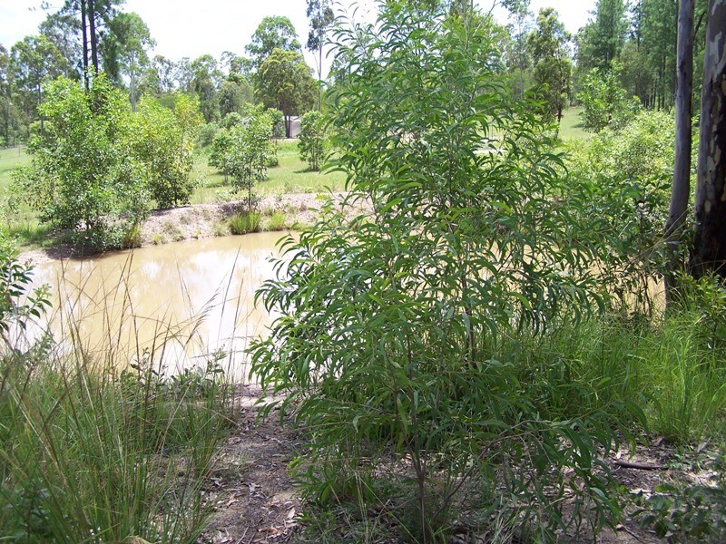 Glenwood QLD 4570