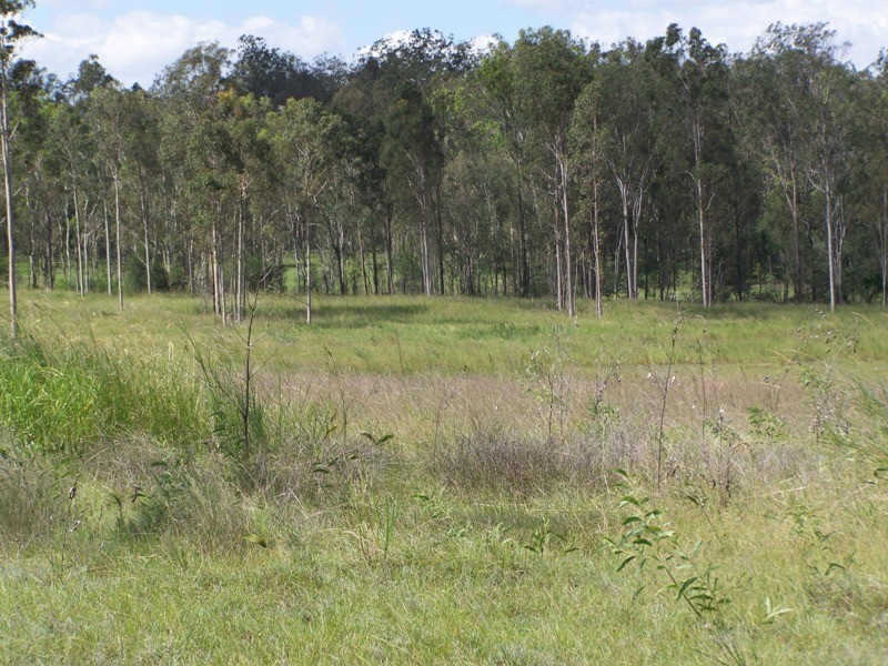 Sexton QLD 4570