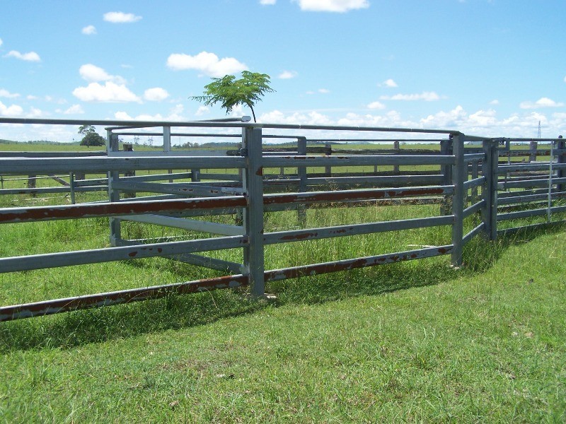 Lower Wonga QLD 4570