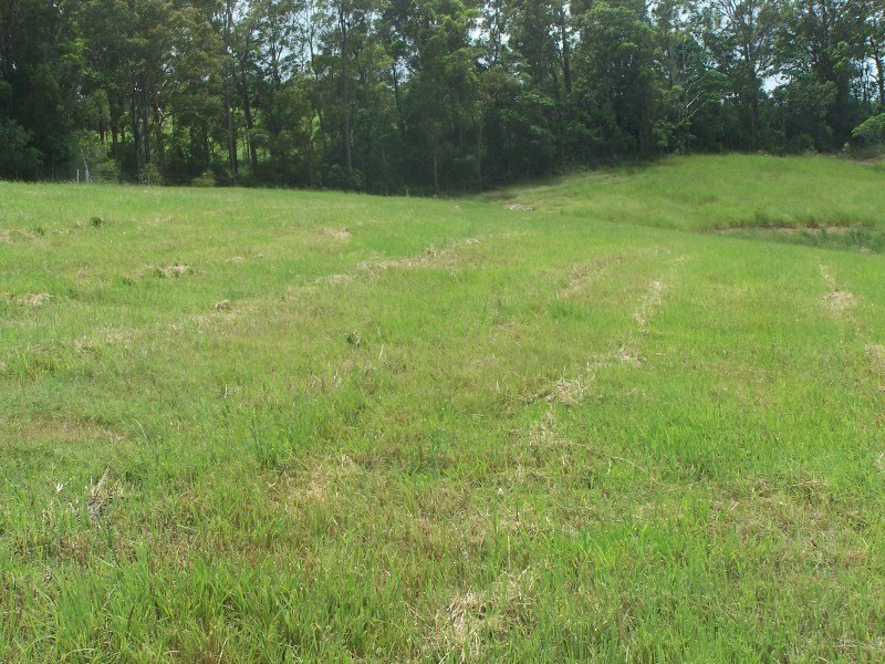 Greens Creek QLD 4570