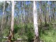 Glenbar QLD 4620